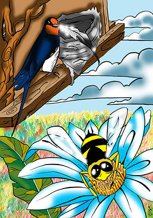 9